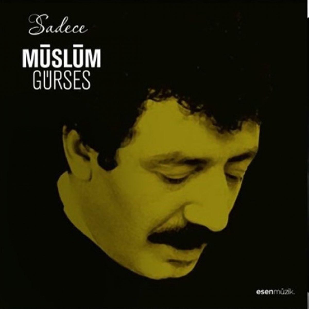 Sadece