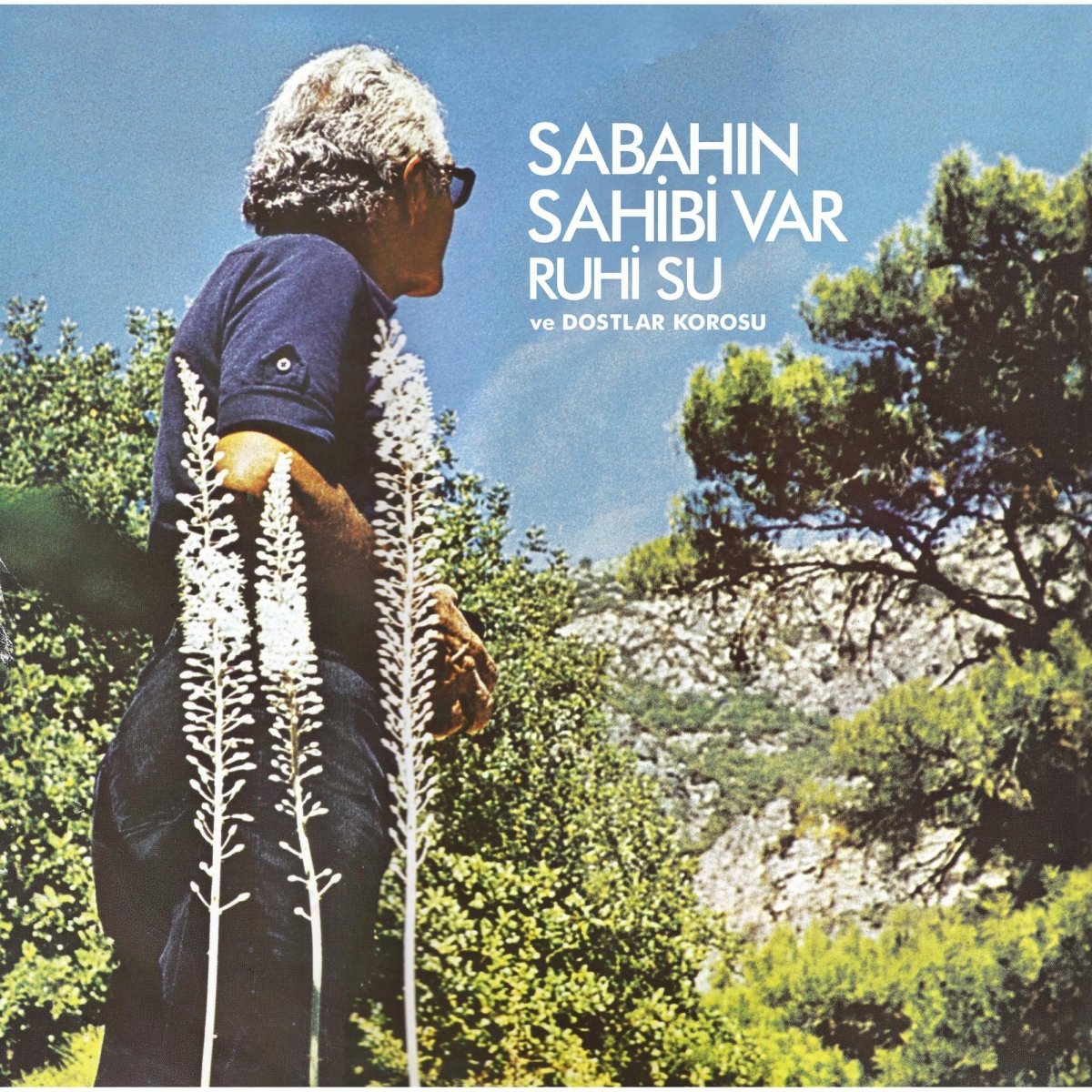 Sabahın Sahibi Var Plak