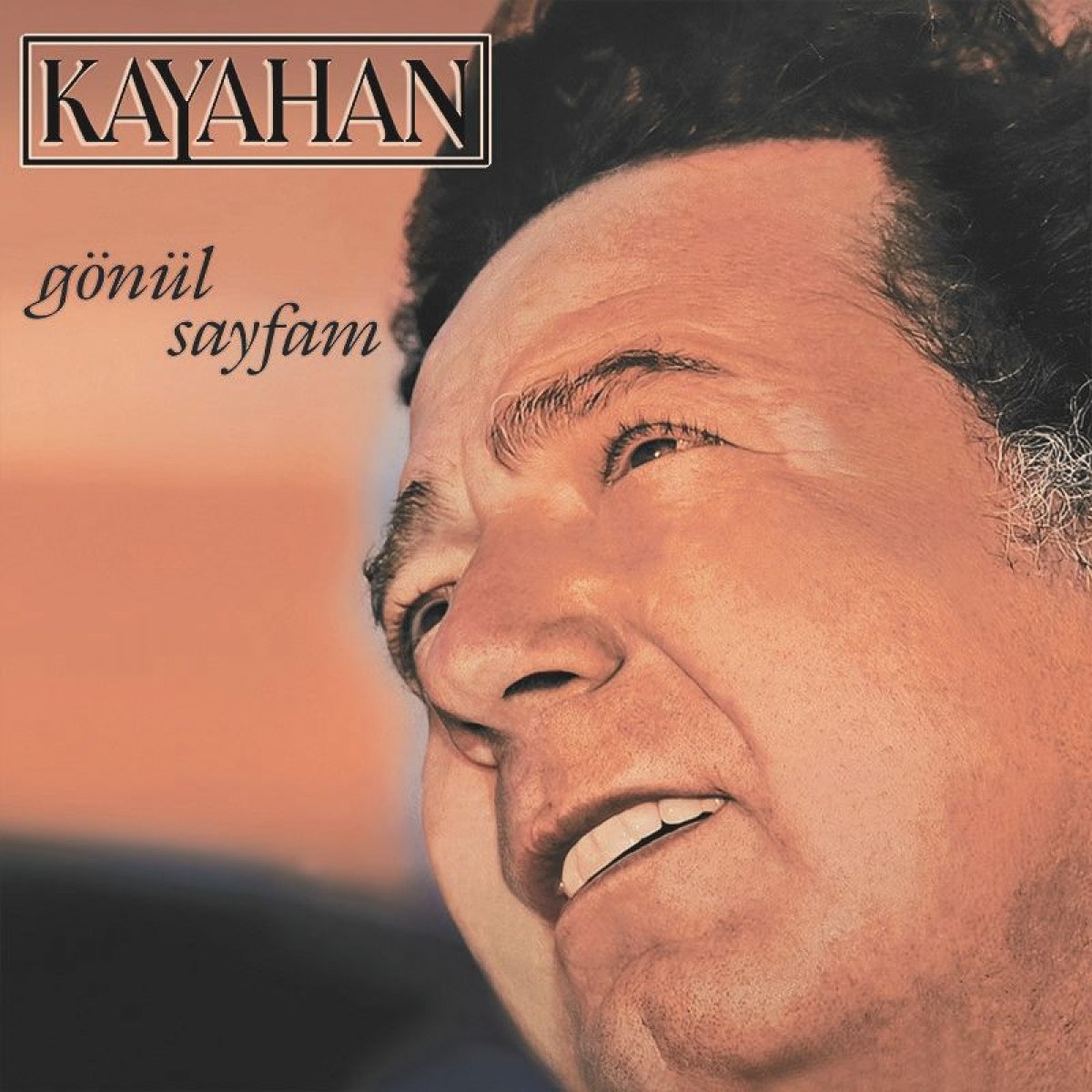 Gönül Sayfam