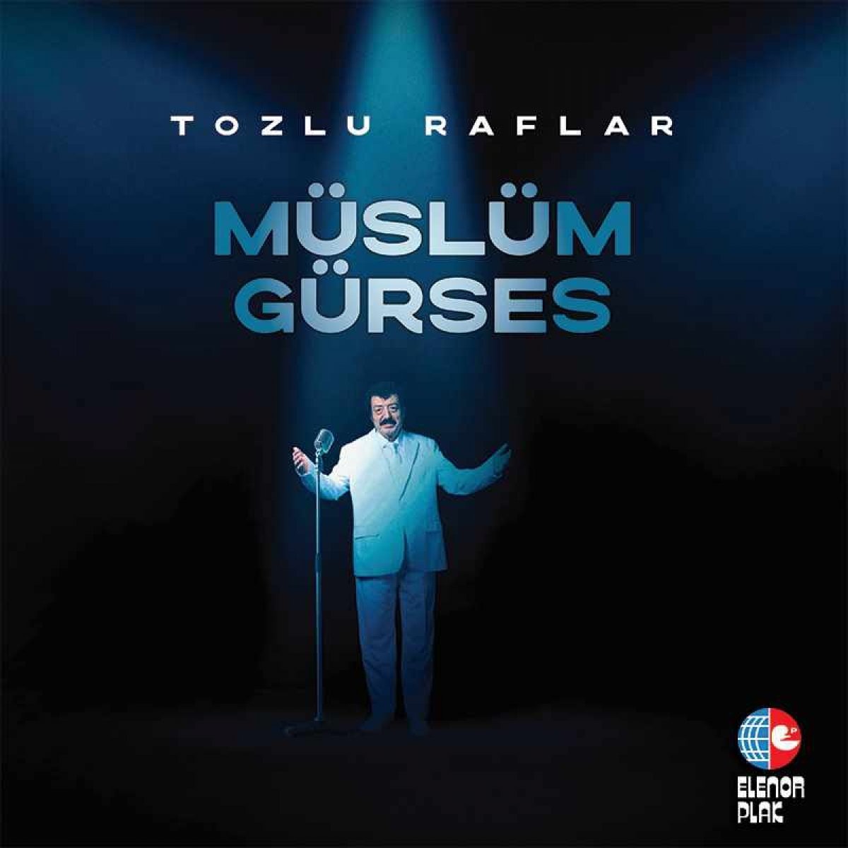Tozlu Raflar Plak