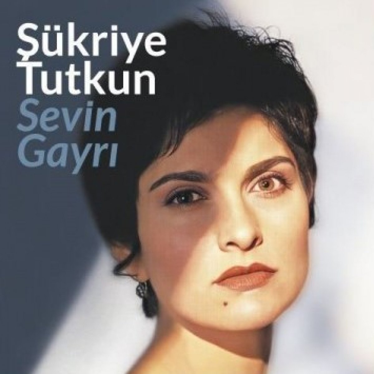 Sevin Gayrı - Plak