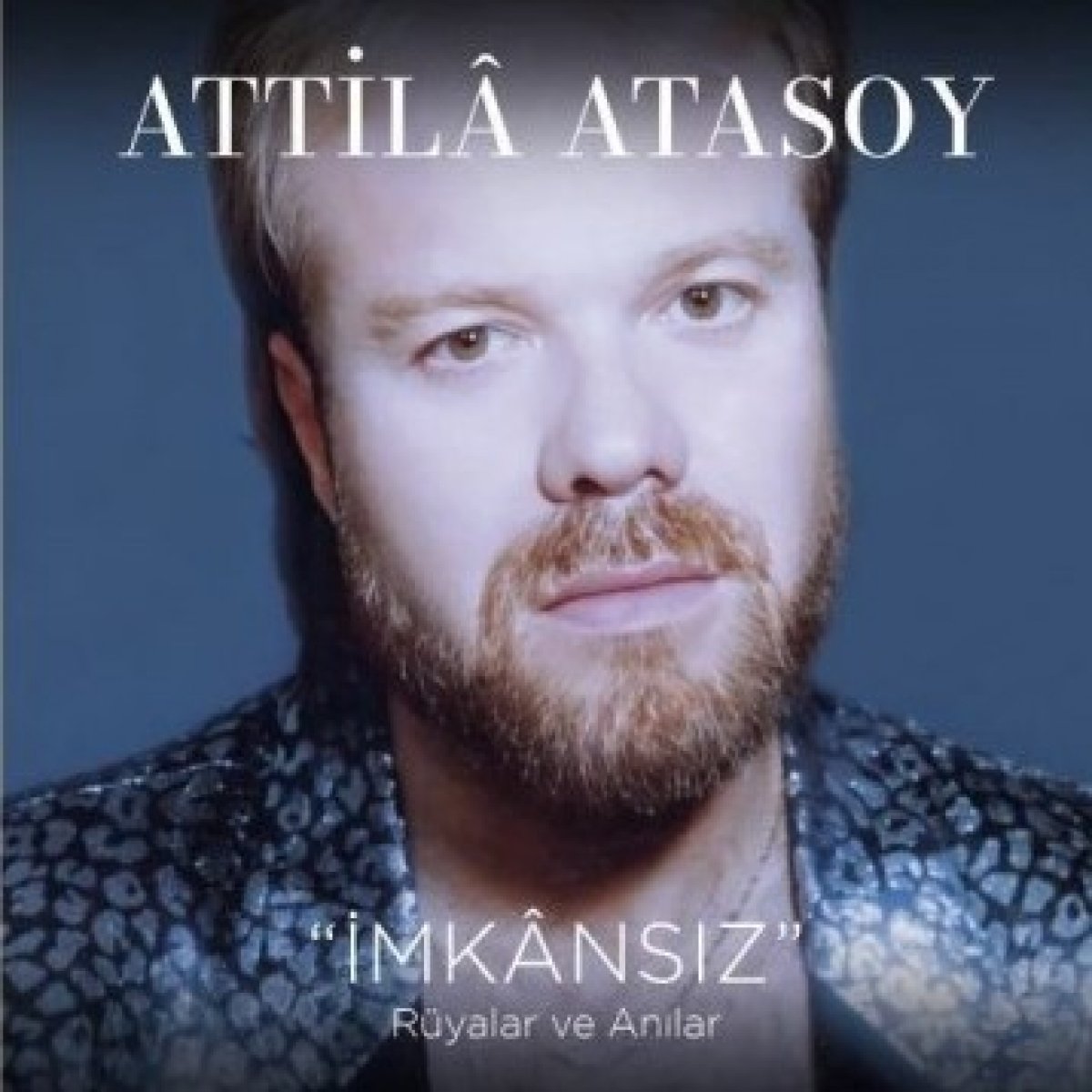 İmkansız (Rüyalar ve Anılar) - Plak