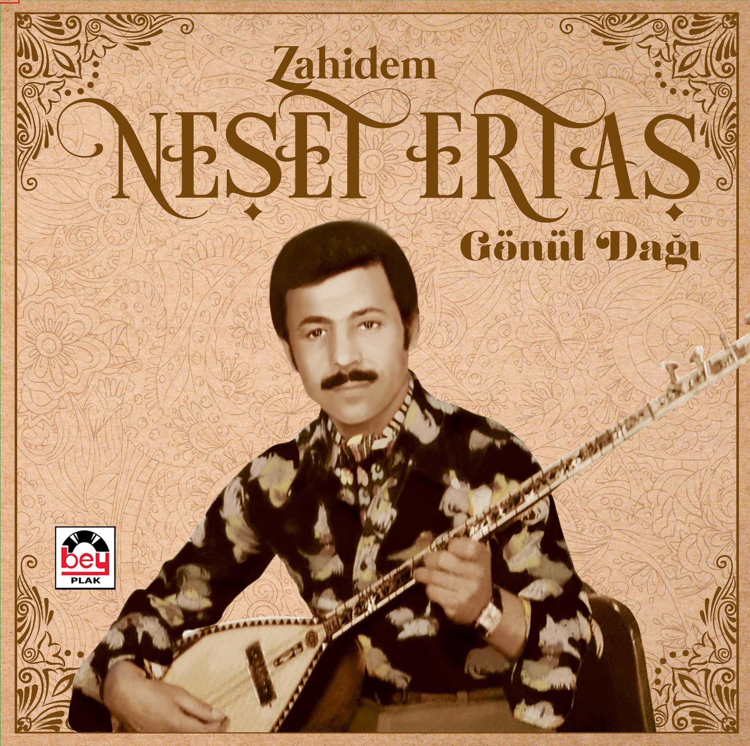 Zahidem / Gönül Dağı Plak