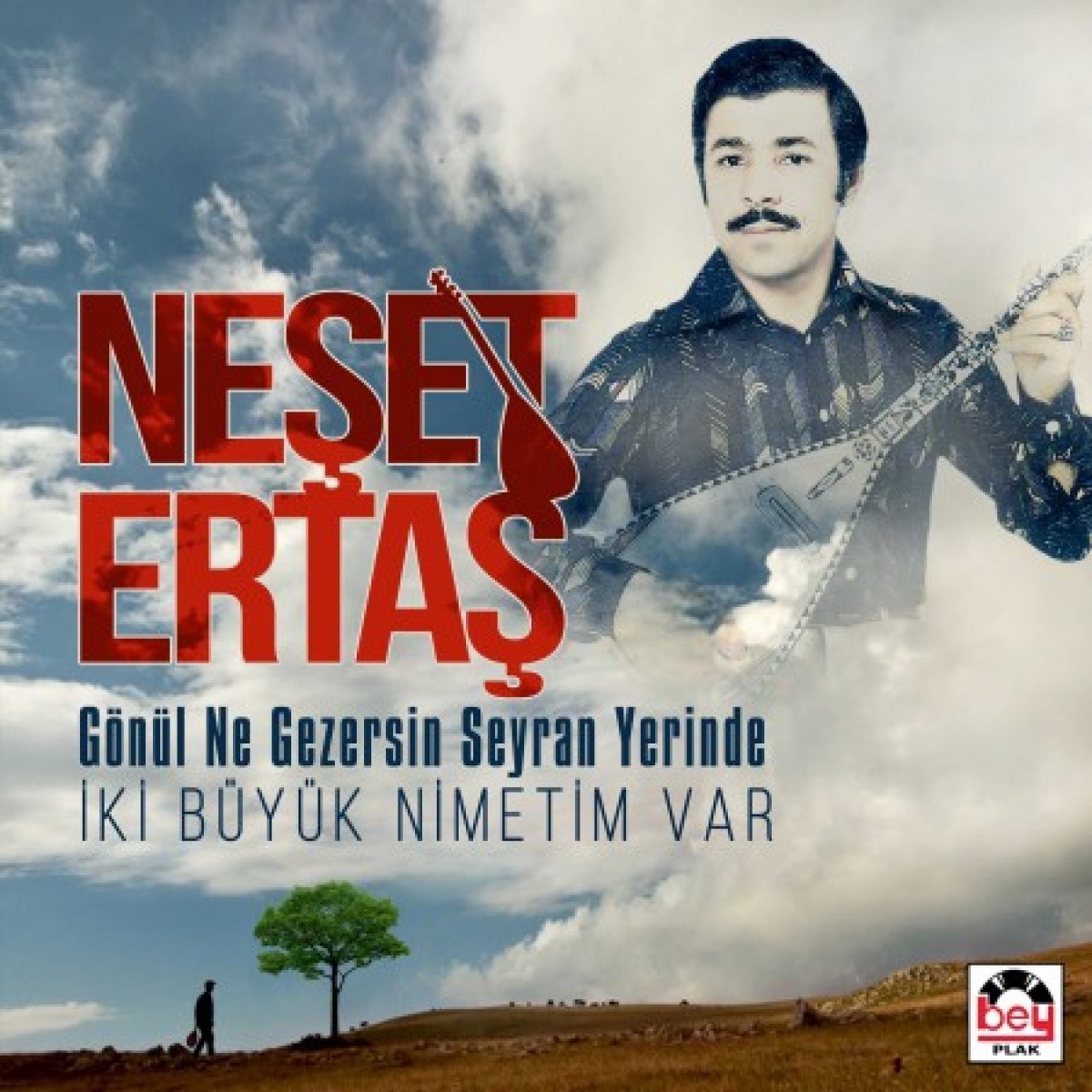 Gönül Ne Gezersin Seyran Yerinde / İki Büyük Nimetim Var Plak